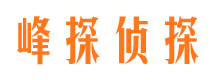 恒山婚外情调查取证